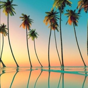 Meet your Posher, Sean